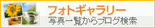 フォトギャラリー　写真一覧から記事を検索