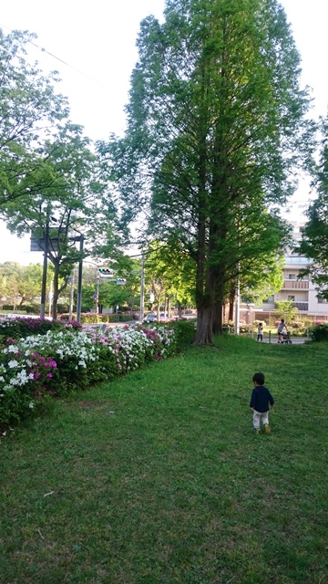 DSC_0129.jpg三角公園.jpg