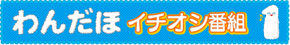 わんだほイチオシ番組