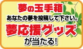 ���e����
