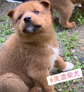 番組宣伝2.jpg
