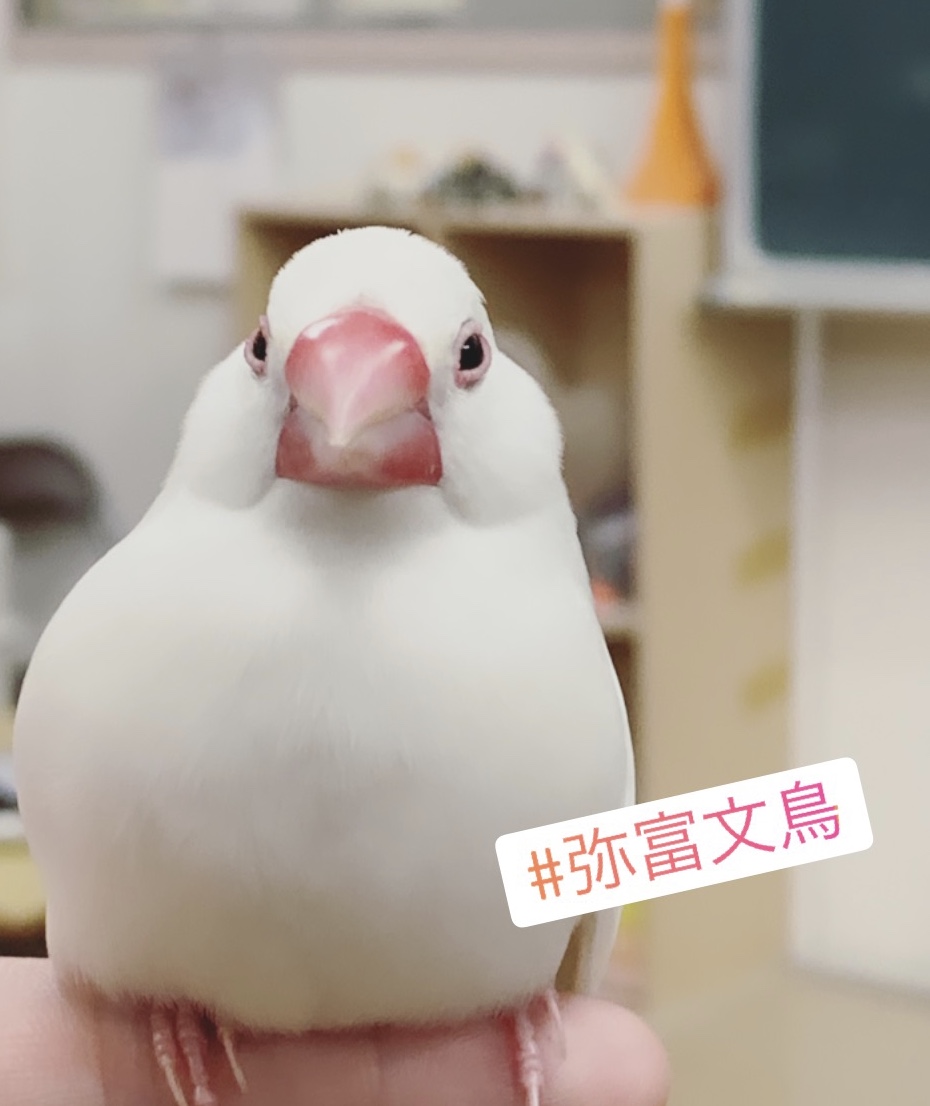 番組宣伝4.jpg