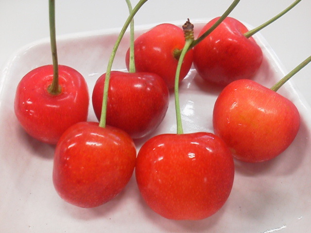 2013061311580000.jpg