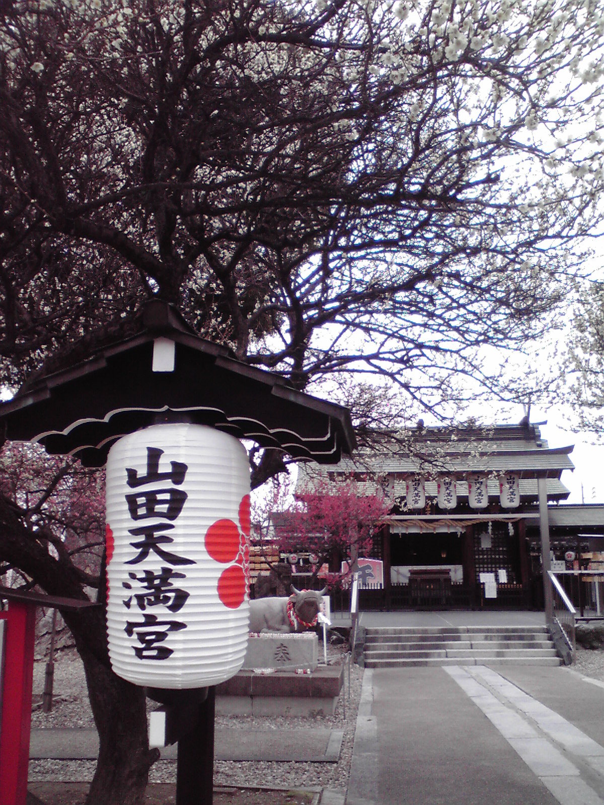 2014030112510000.jpg