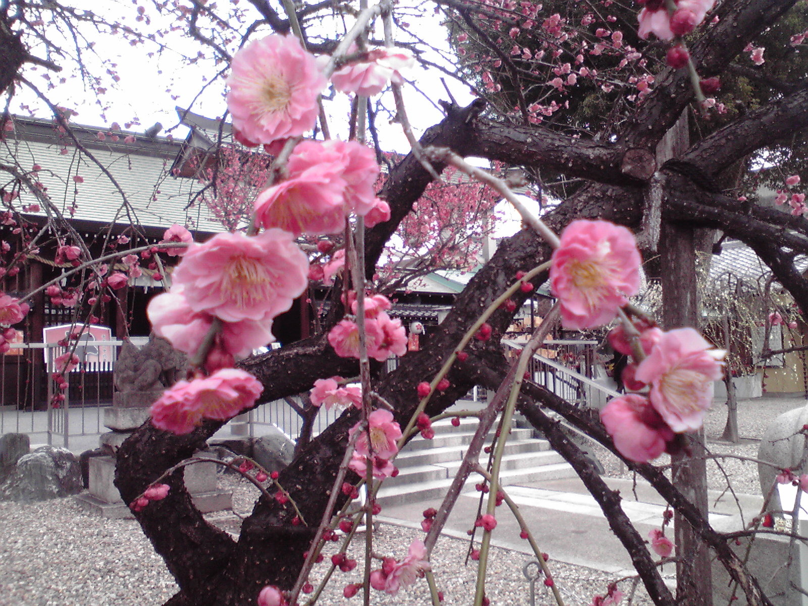 2014030112530001.jpg