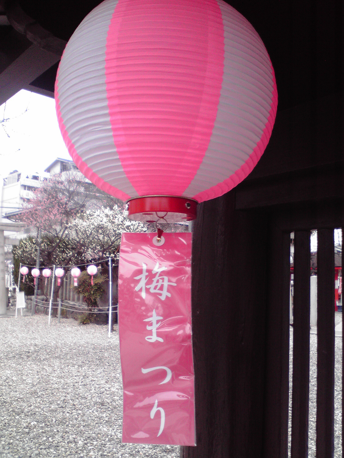2014030112540002.jpg