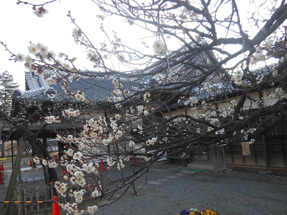 DSCN6593.jpgペイント後.jpg