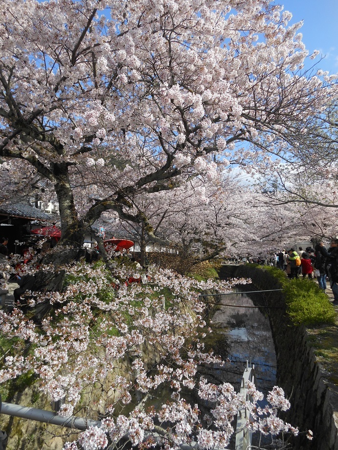 DSCN6768.jpgペイント.jpg