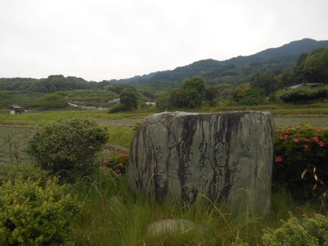 DSCN8233.jpg山の辺の道.jpg
