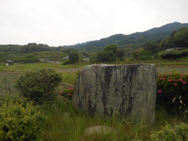 DSCN8233.jpg山の辺の道.jpg