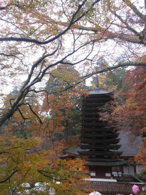 DSCN9853.jpg談山神社.jpg