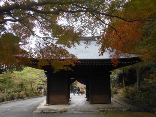 DSCN9965.jpg普門寺.jpg