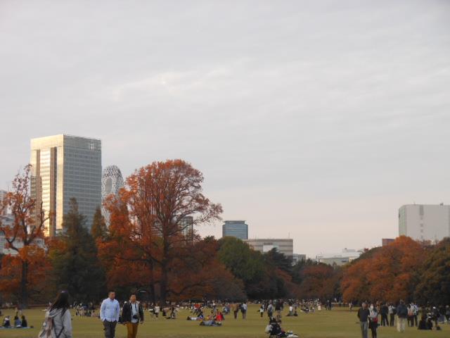 DSCN9970.jpg新宿御苑.jpg