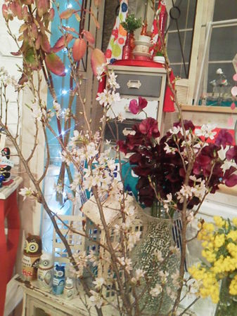 P1000033_337x450[1].jpg