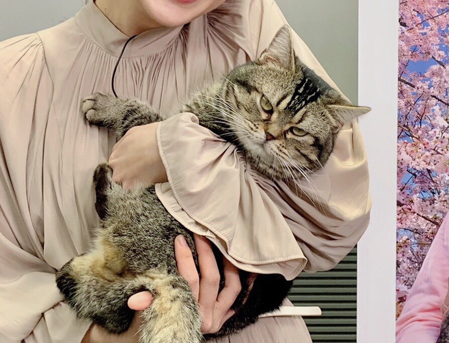 ねことじいちゃん２.jpg