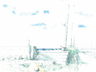 p01.jpg