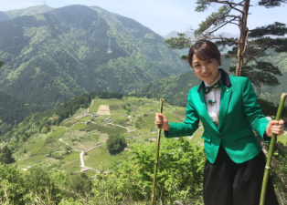 上山&茶畑.png