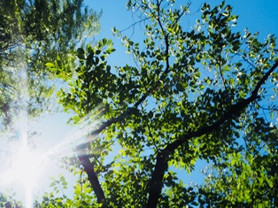 平成最後の夏.jpg