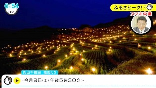 虫送りの様子.jpg