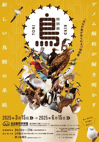イベント画像