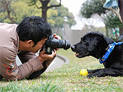 photo
