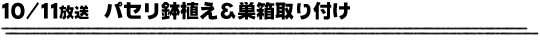 10/11放送「パセリ鉢植え＆巣箱取り付け」