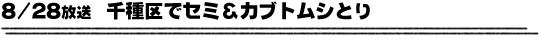 8/28放送「千種区でセミ＆カブトムシとり」