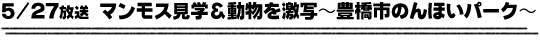 5/27放送「マンモス見学＆動物を激写〜豊橋市のんほいパーク〜」