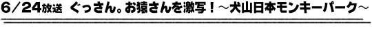 6/24放送「ぐっさん。お猿さんを激写！〜犬山日本モンキーパーク〜」