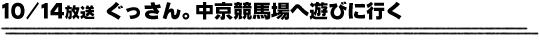 10/14放送「ぐっさん。中京競馬場へ行く」