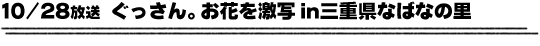 10/28放送「ぐっさん。お花を激写in三重県なばなの里」