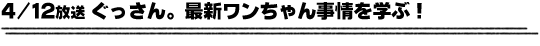 4/12放送「ぐっさん。最新ワンちゃん事情を学ぶ！」