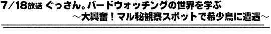 7/18放送「ぐっさん。バードウォッチングの世界を学ぶ〜大興奮！マル秘観察スポットで希少鳥に遭遇〜」
