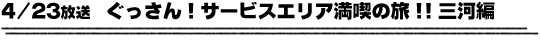 4/23放送　ぐっさん！サービスエリア満喫の旅！！三河編