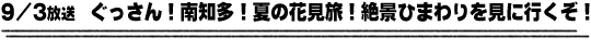 9/3放送　ぐっさん！南知多！夏の花見旅！絶景ひまわりを見に行くぞ！
