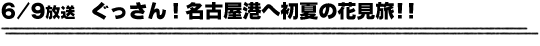 6/9放送　ぐっさん！名古屋港へ初夏の花見旅！！