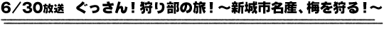 6/30放送　ぐっさん！狩り部の旅！〜新城市名産、梅を狩る！〜