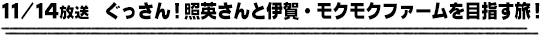 11/14放送　ぐっさん！照英さんと伊賀・モクモクファームを目指す旅！