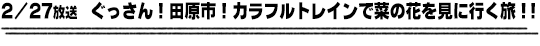 2/27放送　ぐっさん！田原市！カラフルトレインで菜の花を見に行く旅！！