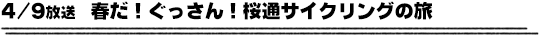 4/9放送　春だ！ぐっさん！桜通サイクリングの旅