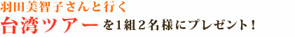 羽田美智子さんと行く台湾ツアー を1組2名様にプレゼント！