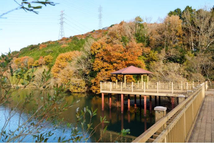 不動ヶ池公園3