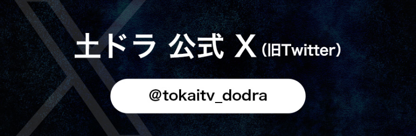 公式X