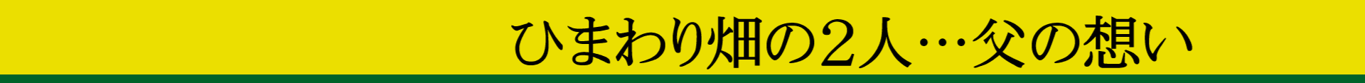 ひまわりの畑