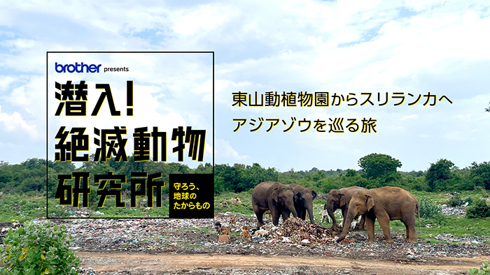潜入！絶滅動物研究所　守ろう、地球のたからもの。