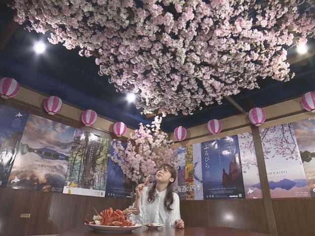 特集 インドア花見 の需要取り込め 居酒屋が宴会部屋を 桜咲く少人数個室 に ドローン映像を配信の会社も