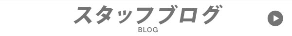 スタッフブログ