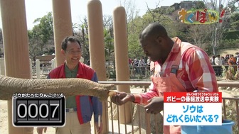 ボビー・オロゴンの自然いろいろ実験