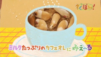 ツペラツペラのなににみえ～る