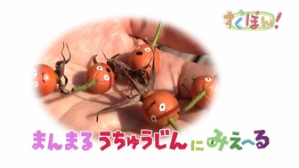 ツペラツペラのなににみえ～る